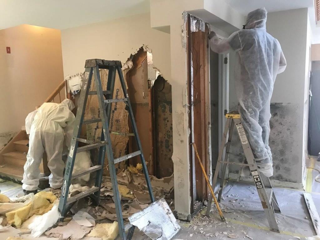 Mold remediation technicians in protective suits removing damaged drywall