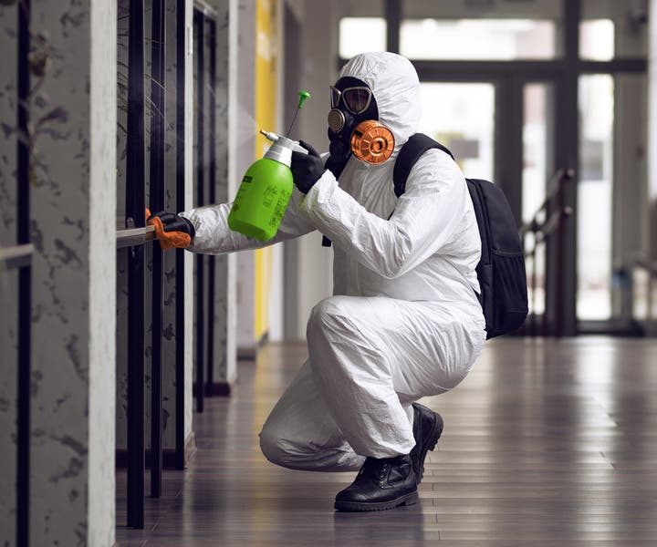 Professional mold remediation specialist spraying treatment on affected walls