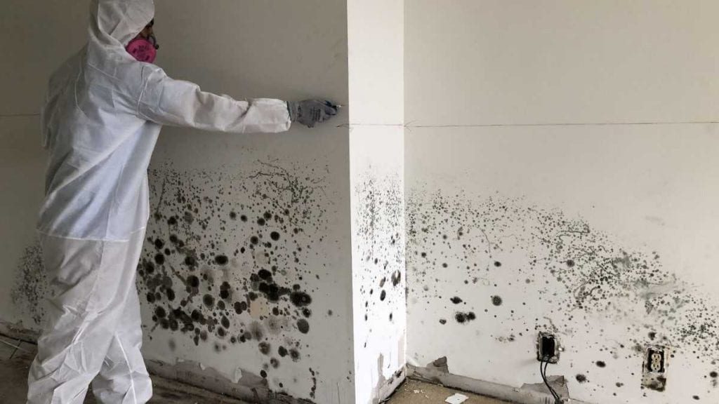 Mold inspection and removal process on residential interior walls