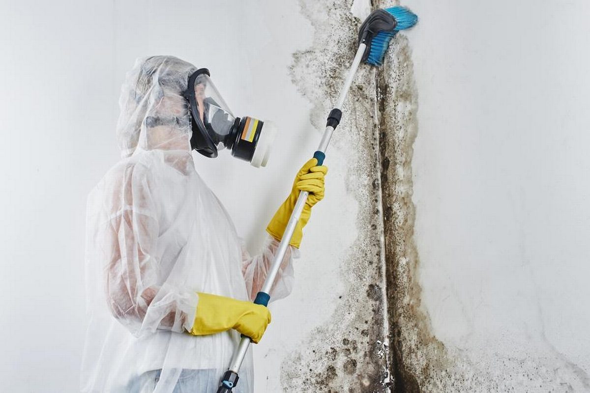 Mold remediation professional in protective gear cleaning affected wall surfaces