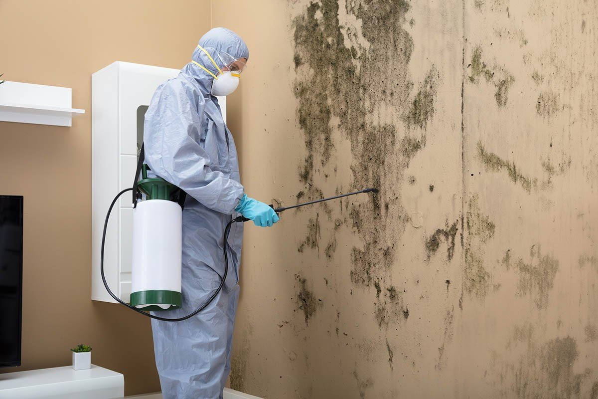 Mold remediation specialist applying treatment to mold-infested walls
